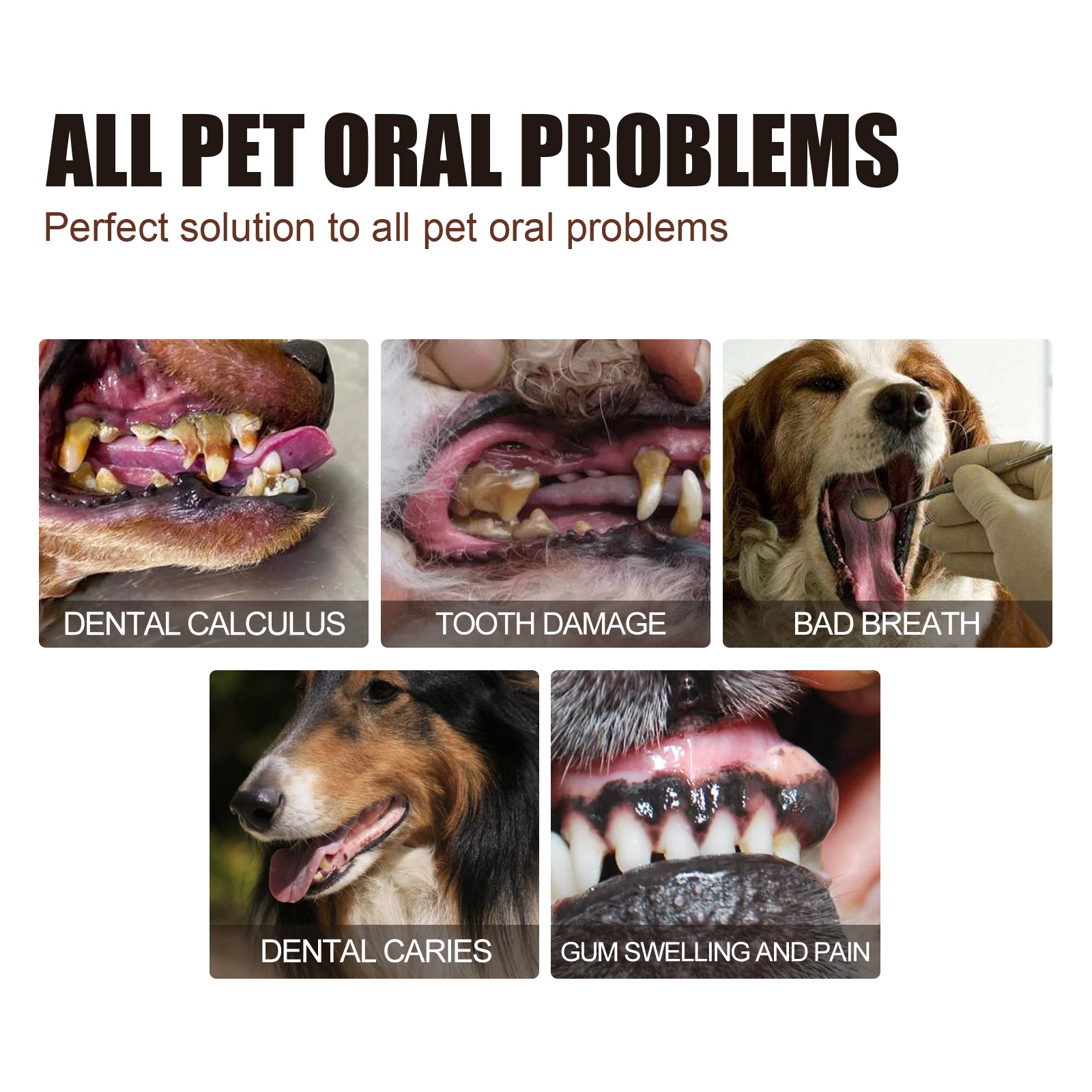 Yegbong Pet Tooth Cleaning Spray, Cats And Dogs Removal Tartar Stains Bad Breath Oral Cleaning Spray — image 5
