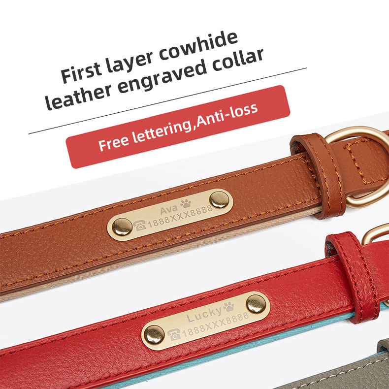 Collar de Cuero Luxe para Perros - Resistente al Desgaste, Ampliable y Moda — imagen 4