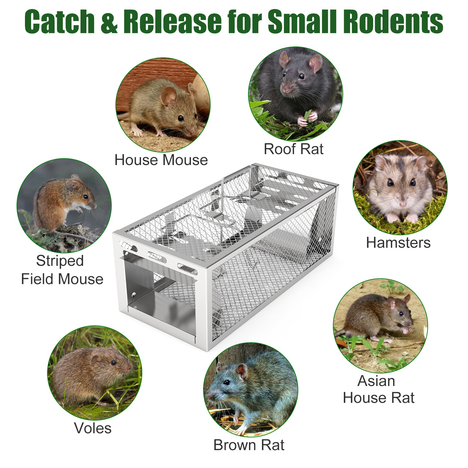 Paquete de 2 Trampas para Ratas Humanitarias de 2 Puertas 11.81x5.63x4.45In, Trampa para Ratones Automática y Continua, Reutilizable, de Hierro Galvanizado, Jaula para Animales Vivos — imagen 2