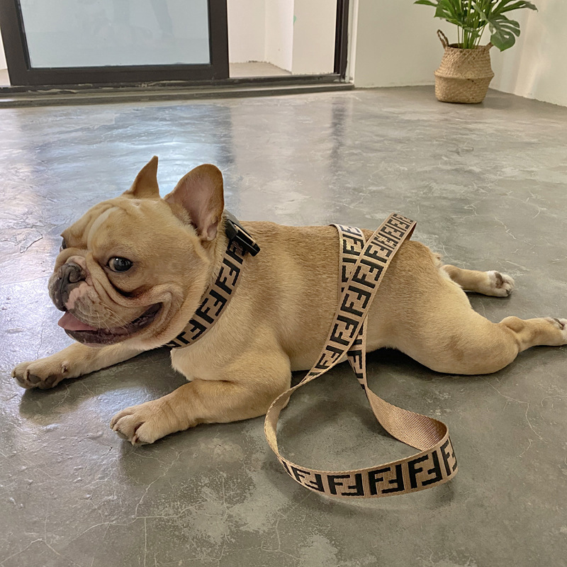 Trend Brand Pet Traction Rope Vest Chest Strap Explosion proof Flushing Dog Chain Fadou Keji Teddy Neck Collar — image 5