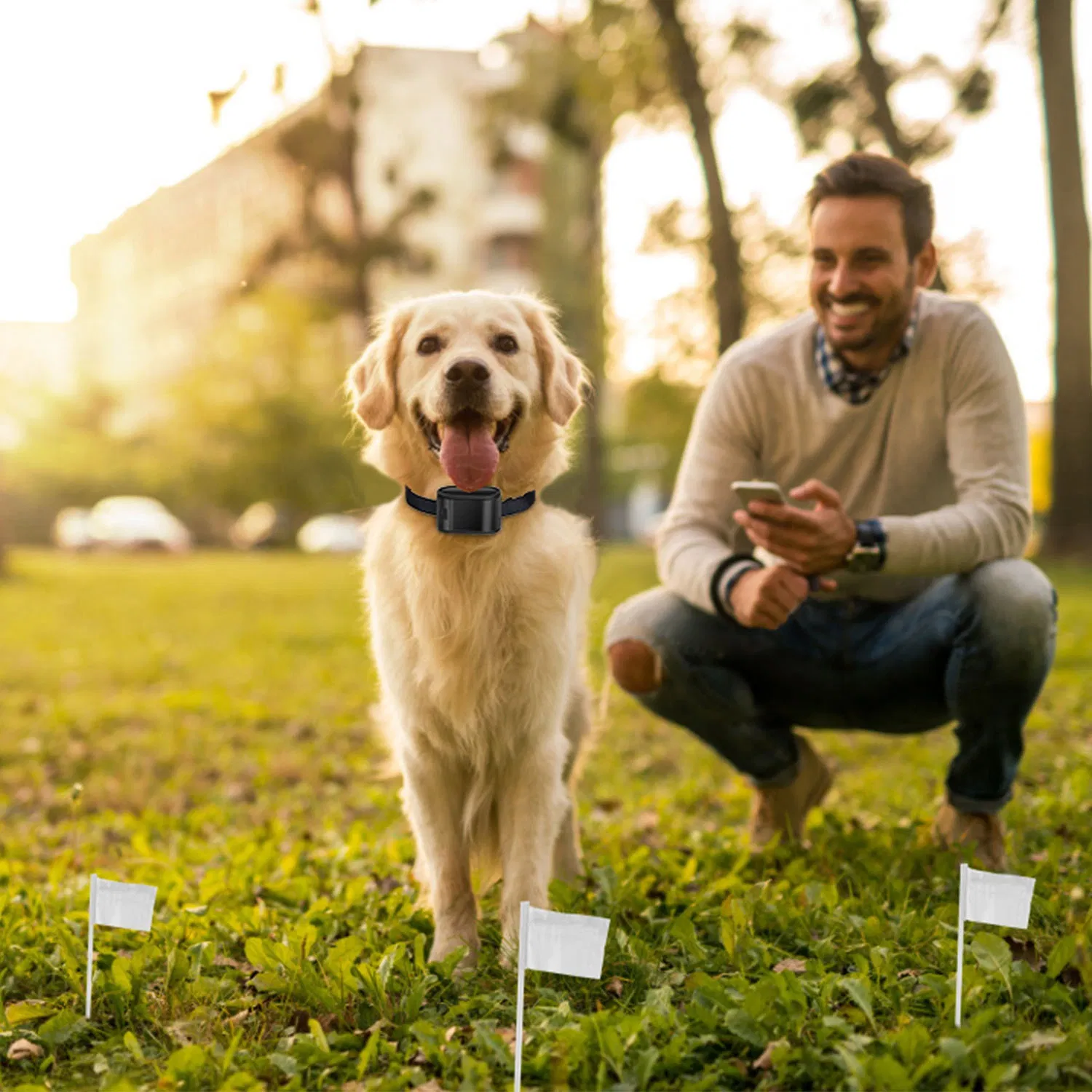 Sistema de Contención para Perros con Collar de Choque Eléctrico Pet Tone, Resistente al Agua, para Perros Pequeños, Medianos y Grandes — imagen 7