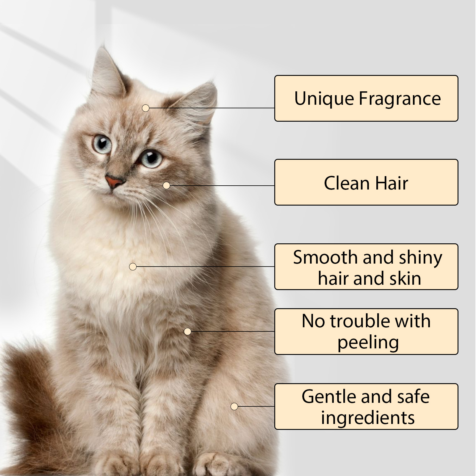 Pet Shampoo, Gentle Cleansing Of Pet Cat And Dog Hair With Smooth Unknotted Shampoo — image 7