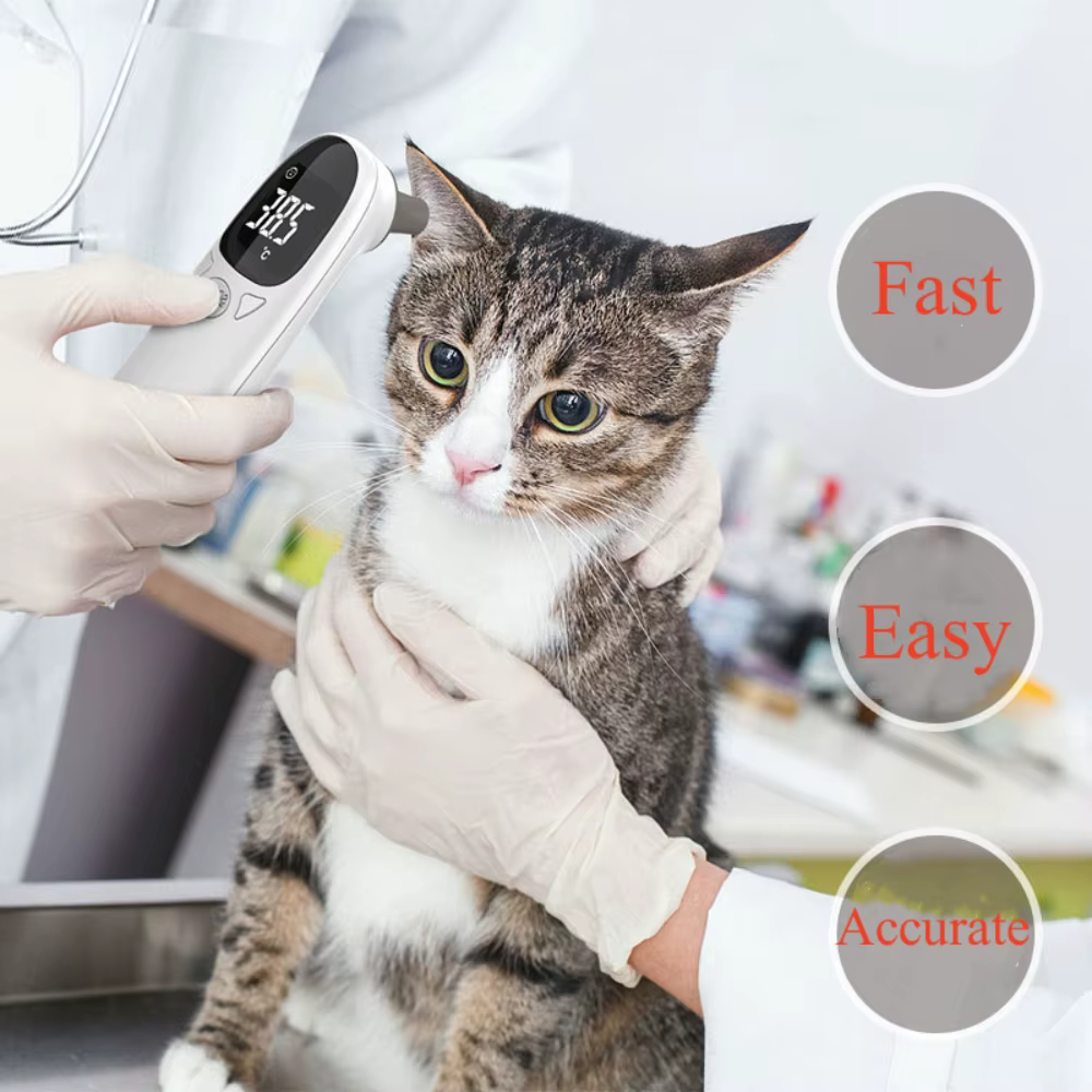 Termómetro Infrarrojo para Mascotas: Temperatura Animal Electrónico No Contacto Rápido y Preciso para Veterinaria Hogar — imagen 1