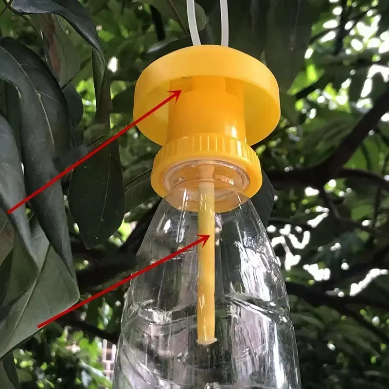 1/2PCS Fruit Killer Plastic Yellow Drosophila Trap Fly Catcher Pest Insect Control For Home Farm 6*6*2Cm — image 2