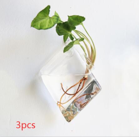 Vaso de Vidrio para Terrario Decorativo en Línea - Jardín Acuático para Hogar — imagen 7