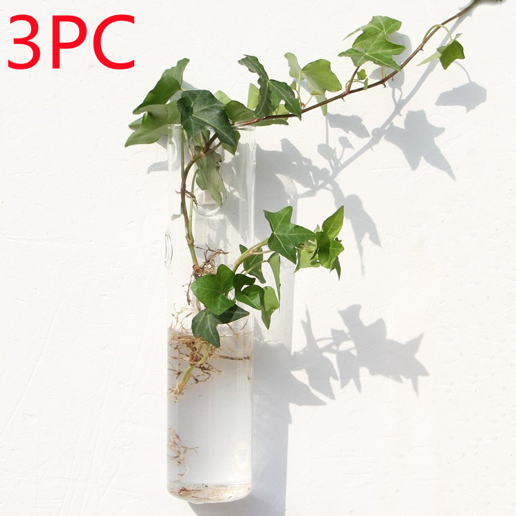 Vaso de Vidrio para Terrario Decorativo en Línea - Jardín Acuático para Hogar — imagen 21