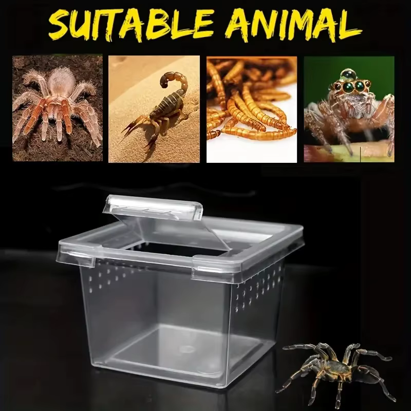 Transparent Portable Reptile Insect Breeding Box Small Pet Observation Container Spider Lizard Keeping Container — image 2