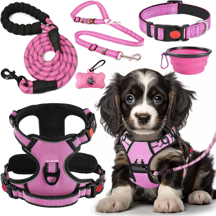 No Pull Dog Harness, Collar & Leash Set With Travel Accessories — image 1