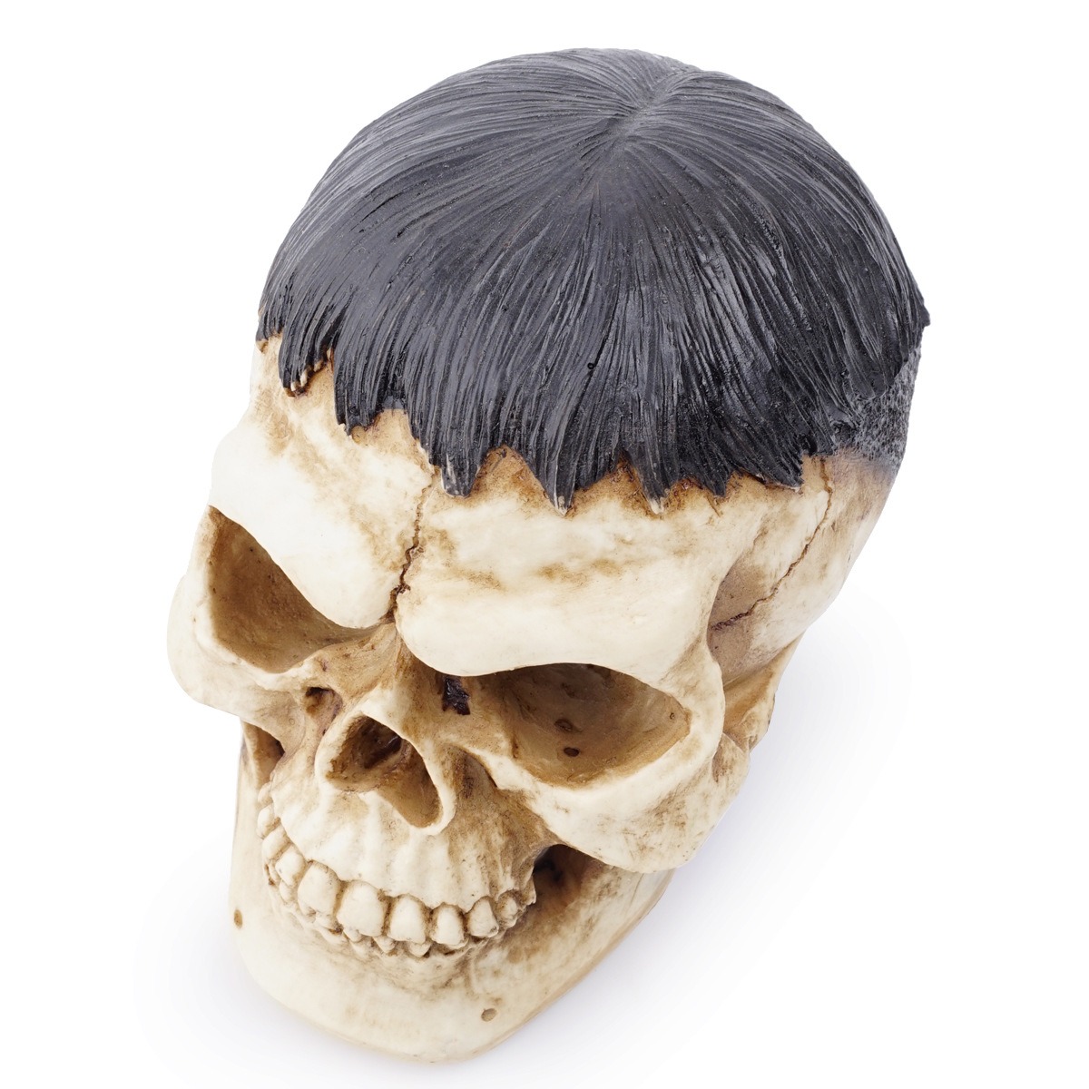 Resin skull animal skull ornament — imagen 2