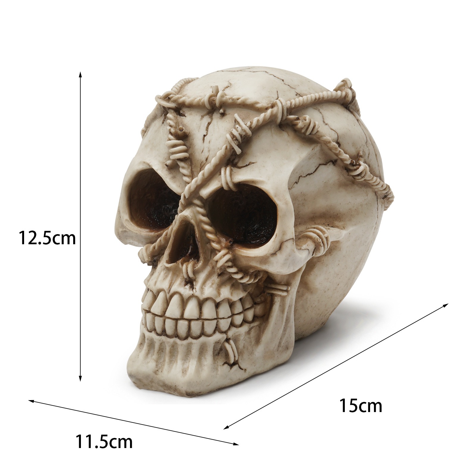 Resin Craft Skeleton Animal Skull — image 1