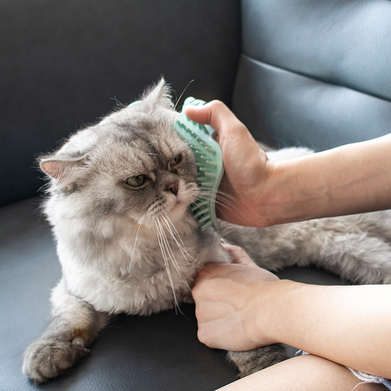 Corner Rubbing Device Rubbing Itching Massage Comb Cat Toy Teasing Cat Stick Pet Cat Supplies — image 2