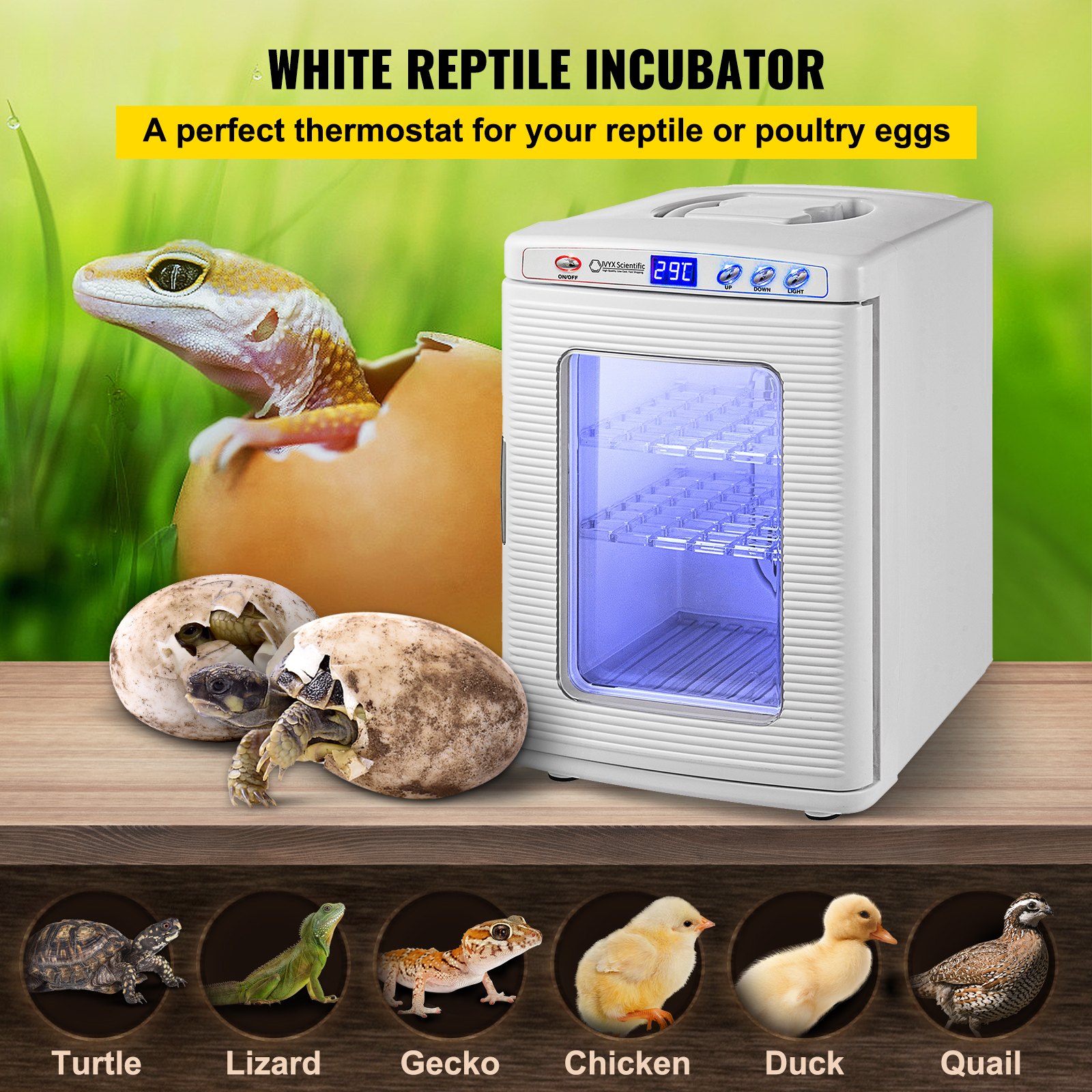 White Reptile Incubator 25L Scientific Lab Incubator Digital Incubator Cooling And Heating 5-42°C Reptile Egg Incubator 12V/110V Work For Small Reptiles — image 2
