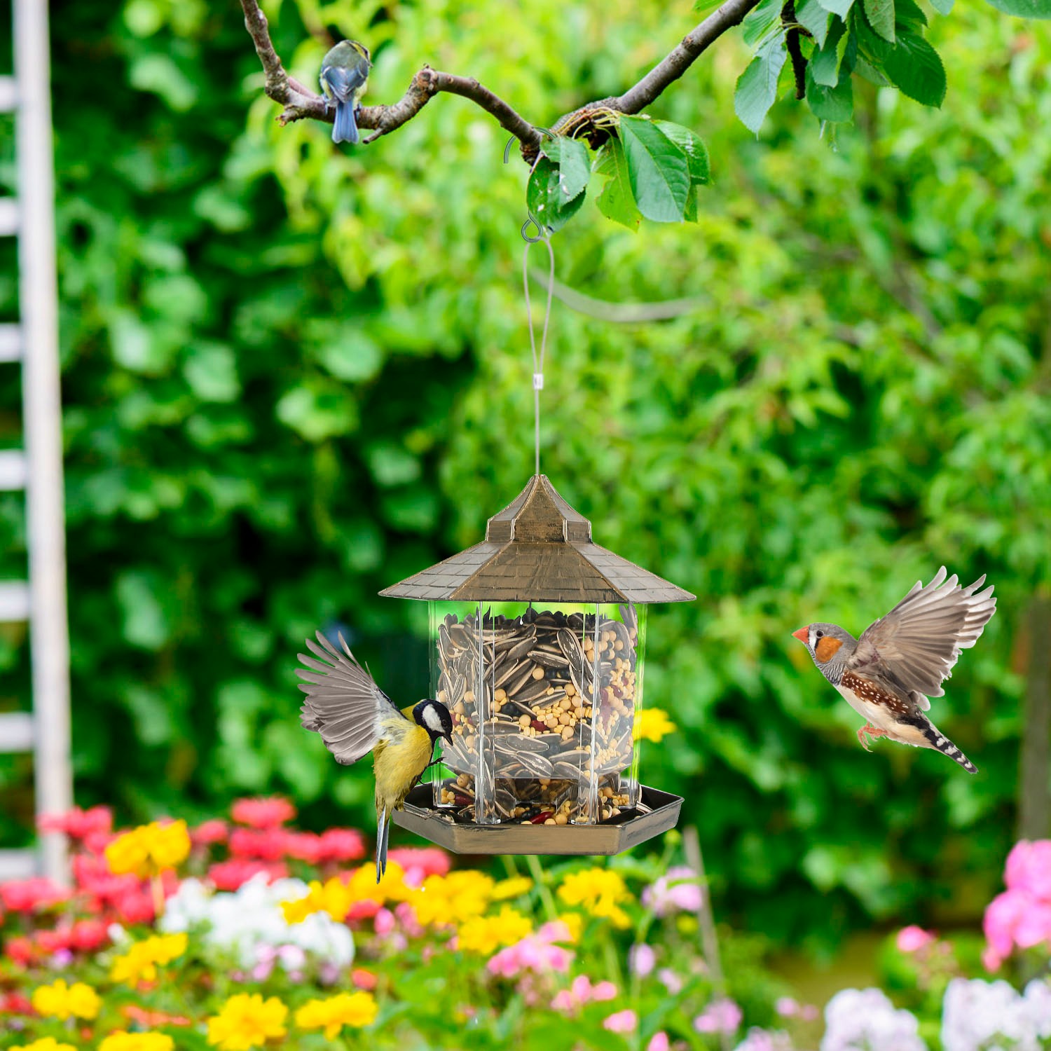 Gazebo para pájaros suspendido con capacidad de alimento amplia, 6 entradas para alimentar y fácil relleno — imagen 11