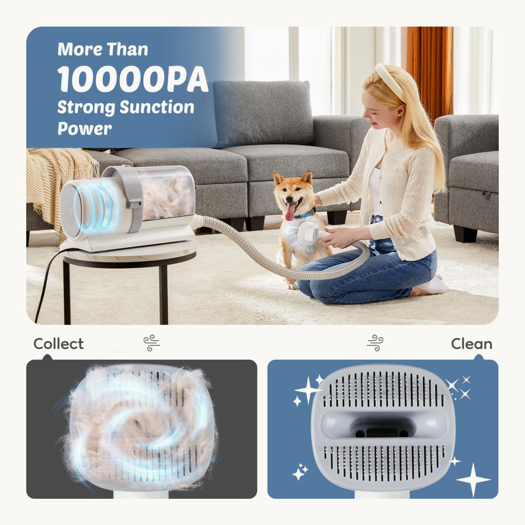 Tijeras de Peinado Profesionales para Perros con 2,5L, 3 Modos de Succión, Tijeras Cordless, 5 Herramientas para Peluqueros, Trimmer Silencioso para Pelo de Mascotas — imagen 10