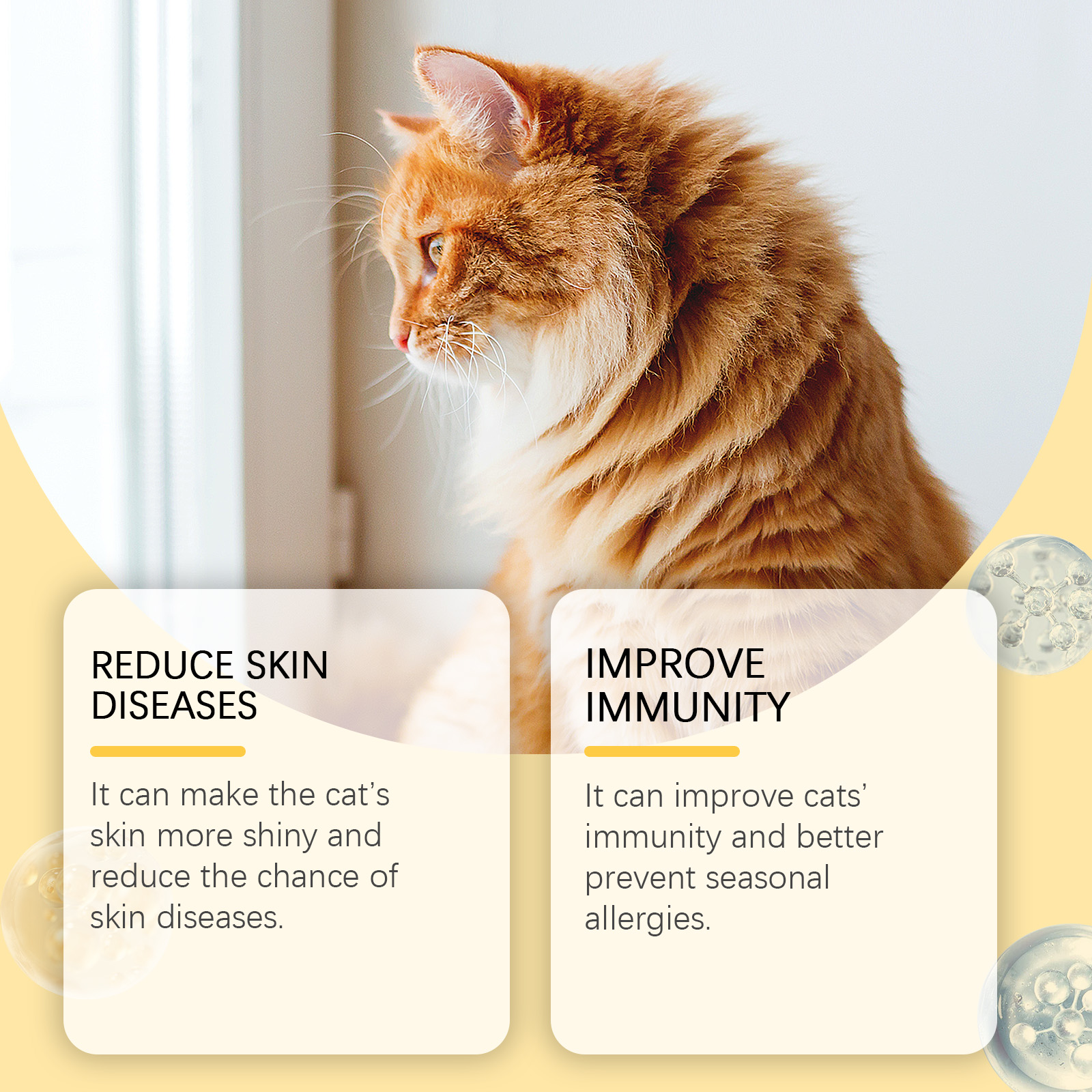 Tabletas de Aceite de Pescado Clase 3 para Gatos, Suplemento Multivitamínico para Pelaje y Corteza, Apoya Salud Inmunológica, Cardíaca y Ósea, 60 Tabletas Chupables — imagen 8