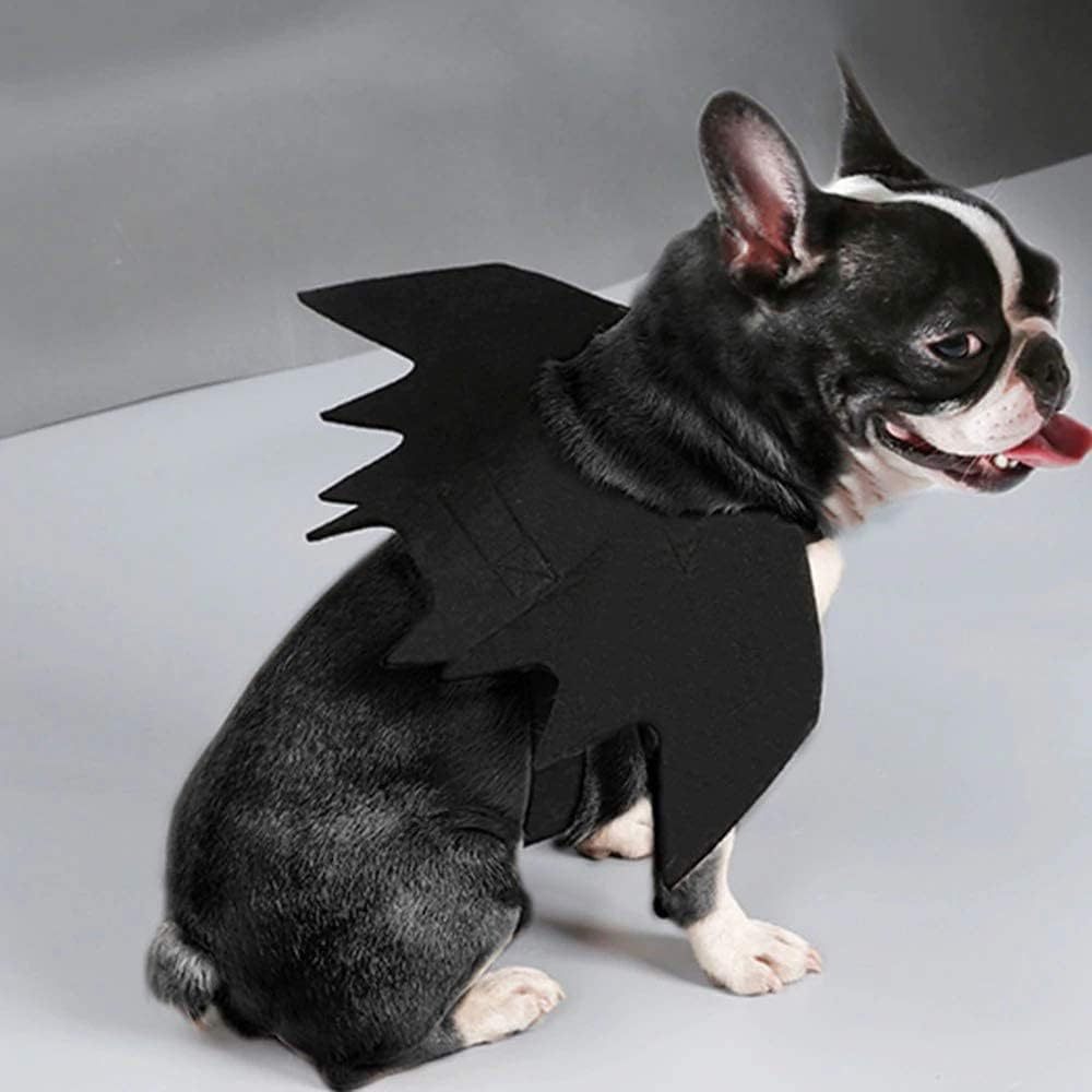 Halloween pet prop bat wings — image 7