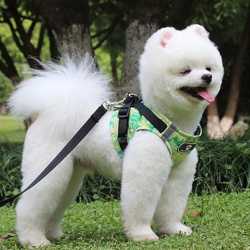 Winter Dog Harness Vest Collar with Leash Set Pet Walking Harness Adjustable Cat Led Reflective — image 7