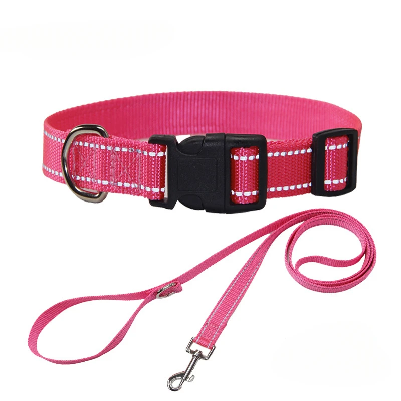Conjunto de Cuello y Correa para Perros en Nylon - Accesorios para Mascotas Pequeñas, Medianas y Grandes — imagen 14