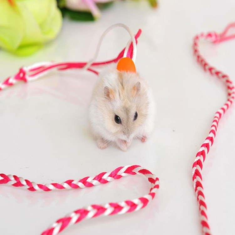 Hand-Woven Small Pet Dual-Purpose Traction Rope Pet Sliding Mouse Rope Walking Squirrel Traction Rope Hamster Supplies — image 1