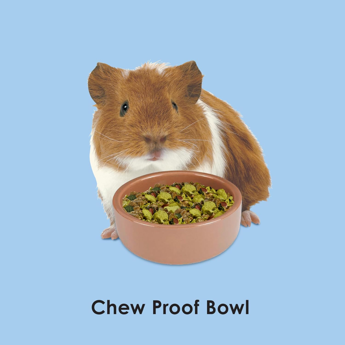 Tazón Cerámico para Hamsters, Marrón — imagen 2