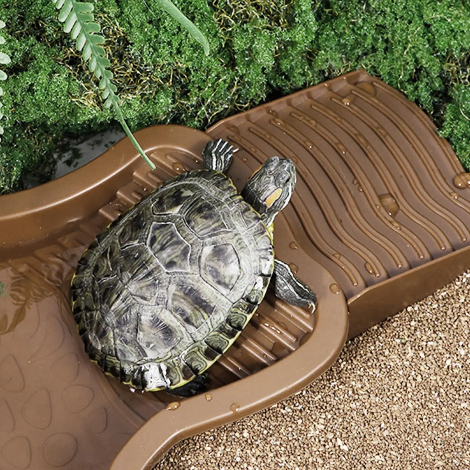 Reptile Bathing Pool with Ramp Turtle Soaking Tub Slip Proof Water Bowl for Tortoise Bearded Dragon Gecko Terrarium Decoration — image 4