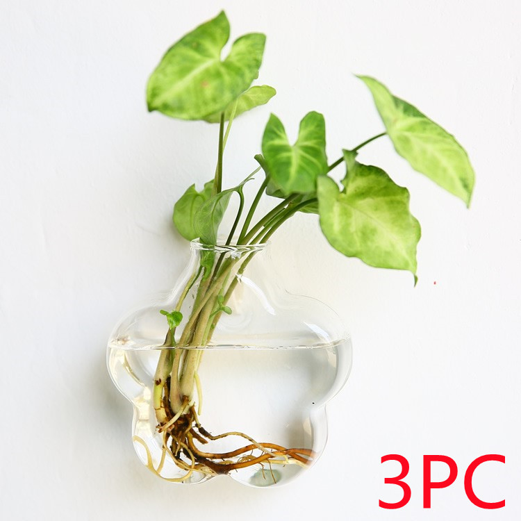 Vaso de Vidrio para Terrario Decorativo en Línea - Jardín Acuático para Hogar — imagen 43