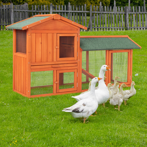 Casa de Pollos en Madera para Conejos y Pájaros - Galpón de Aves — imagen 14