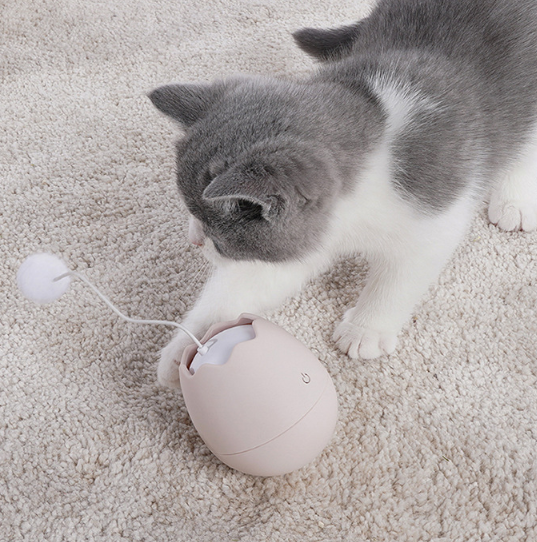 Artículos divertidos para gatos con juguetes de arte — imagen 10