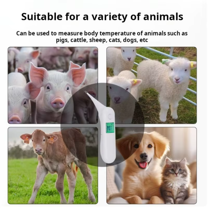 Termómetro para Animales Ovejas, Cerdos, Vacas Pantalla Grande Termómetro de Alta Precisión Cabezal Suave Pistola de Temperatura para Ganado — imagen 2