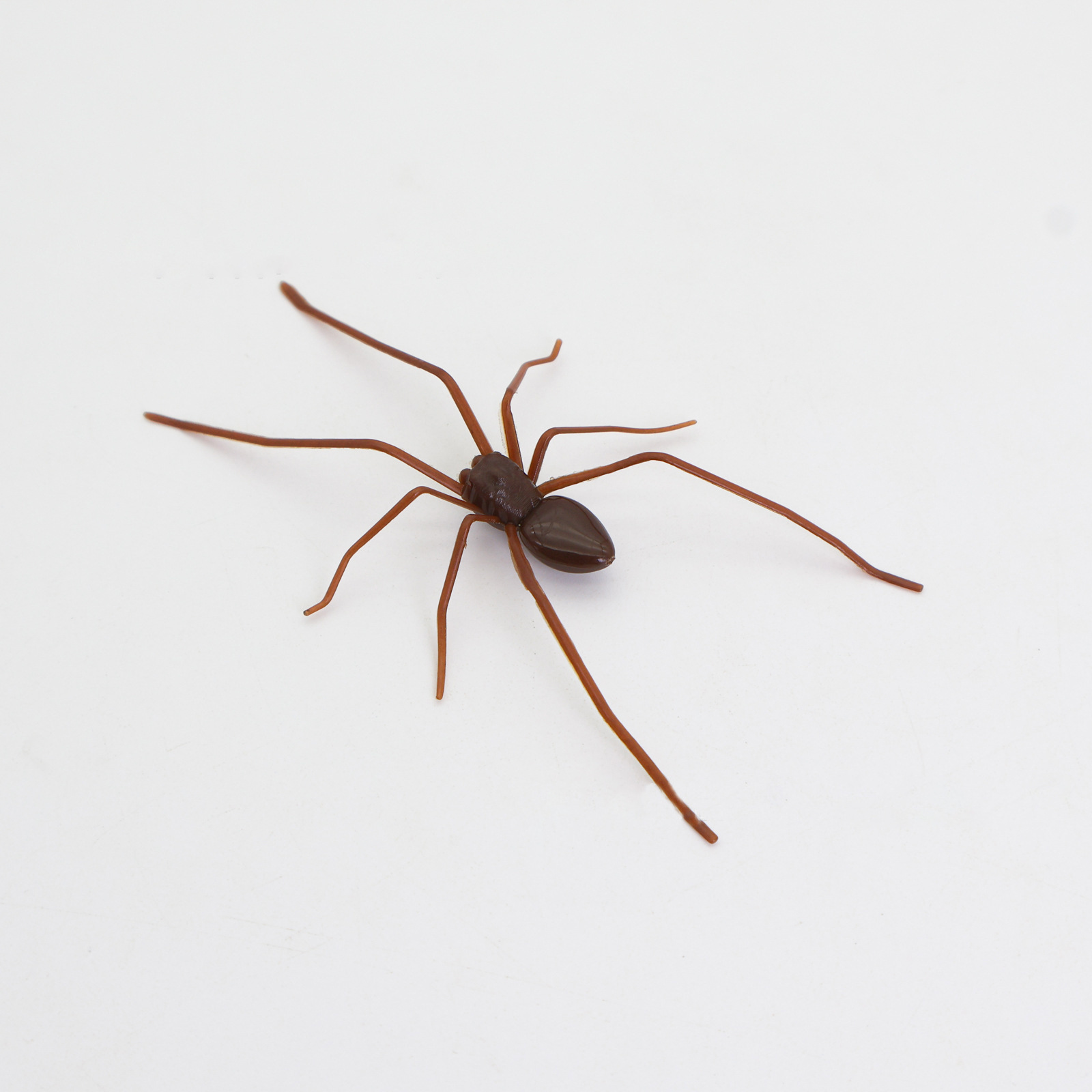 Plastic Spider as Decoration - Novelty Ornament — image 7