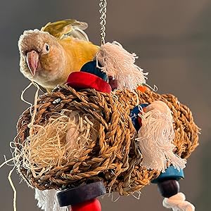 Parakeet Toys, Adventure Series - Pirate’s Parrot Mailbag Handmade Bird Toy Parrot Toy Set — image 3