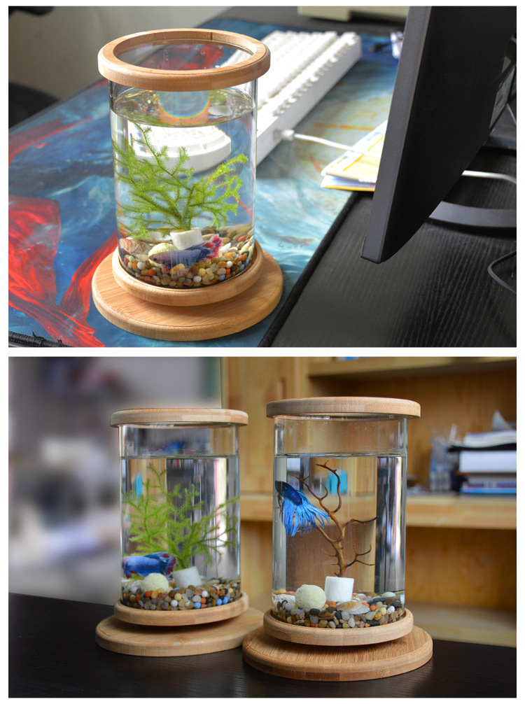 Acuario de Vidrio en Base de Bambú para Oficina Pequeña Decoración para Peces Mini — imagen 6