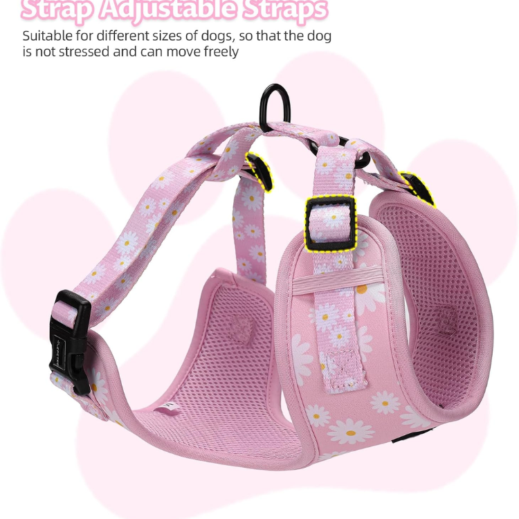 Small Dog Harness And Leash Set Of 6, No Pull Soft Lightweight Mesh Puppy Harness, Adjustable Cute Floral Pattern Pet Harness For Small Medium Dogs — image 4
