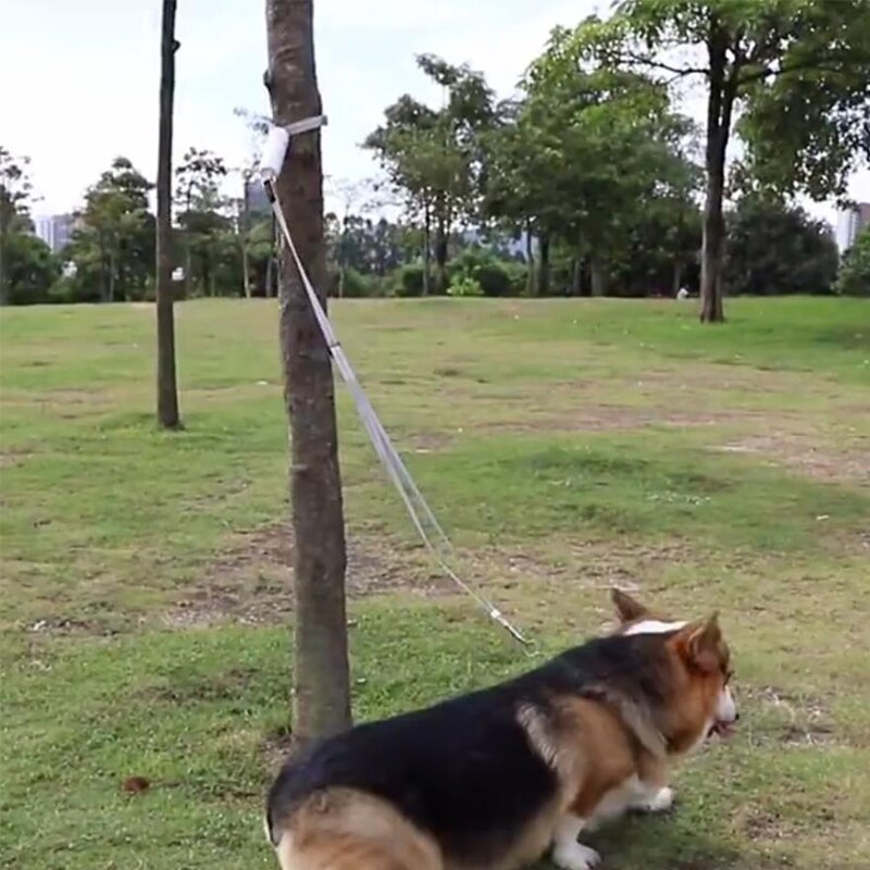 Cuerda de perro reflectiva anti pérdida suministros para paseos caninos cuerda elástica para perros cadena Keji — imagen 4