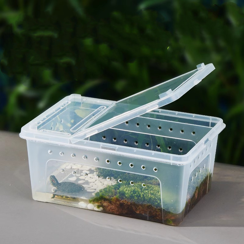 Caja para Alimentar Gusanos de Sedilla para Tortuga Pet — imagen 10
