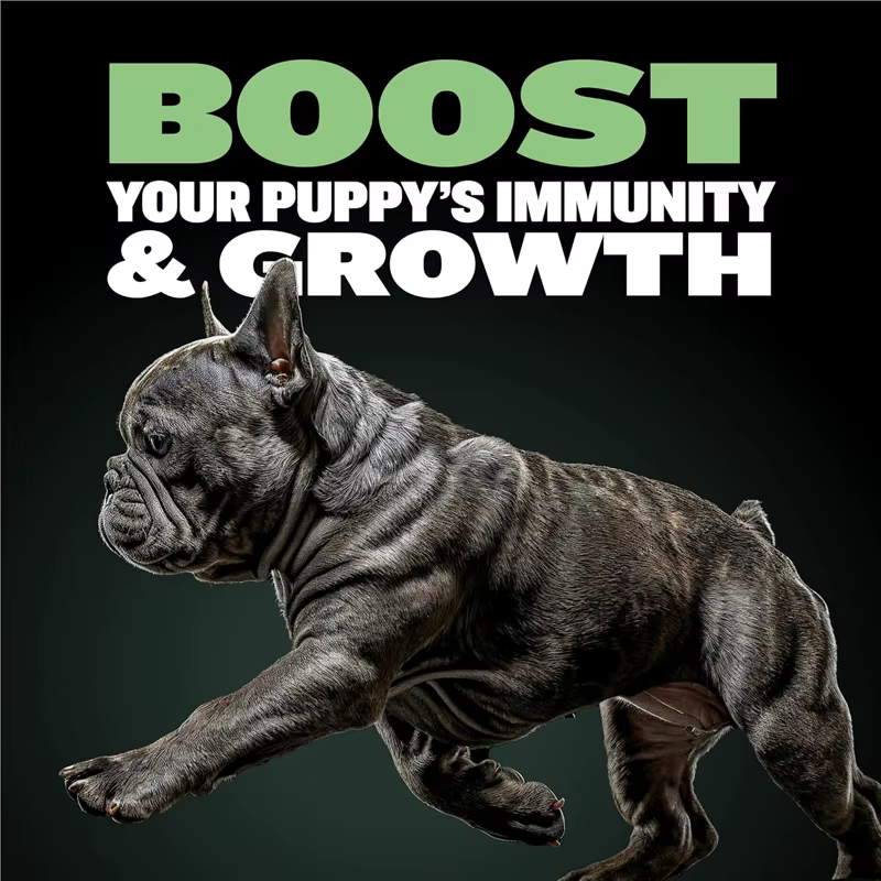 BULLY MAX ALTO CONTENIDO DE PROTEÍNAS Y FÓRMULA SALUDABLE PARA CACHORROS, Fomenta el Desarrollo Muscular Fuerte y la Salud General 120g — imagen 4