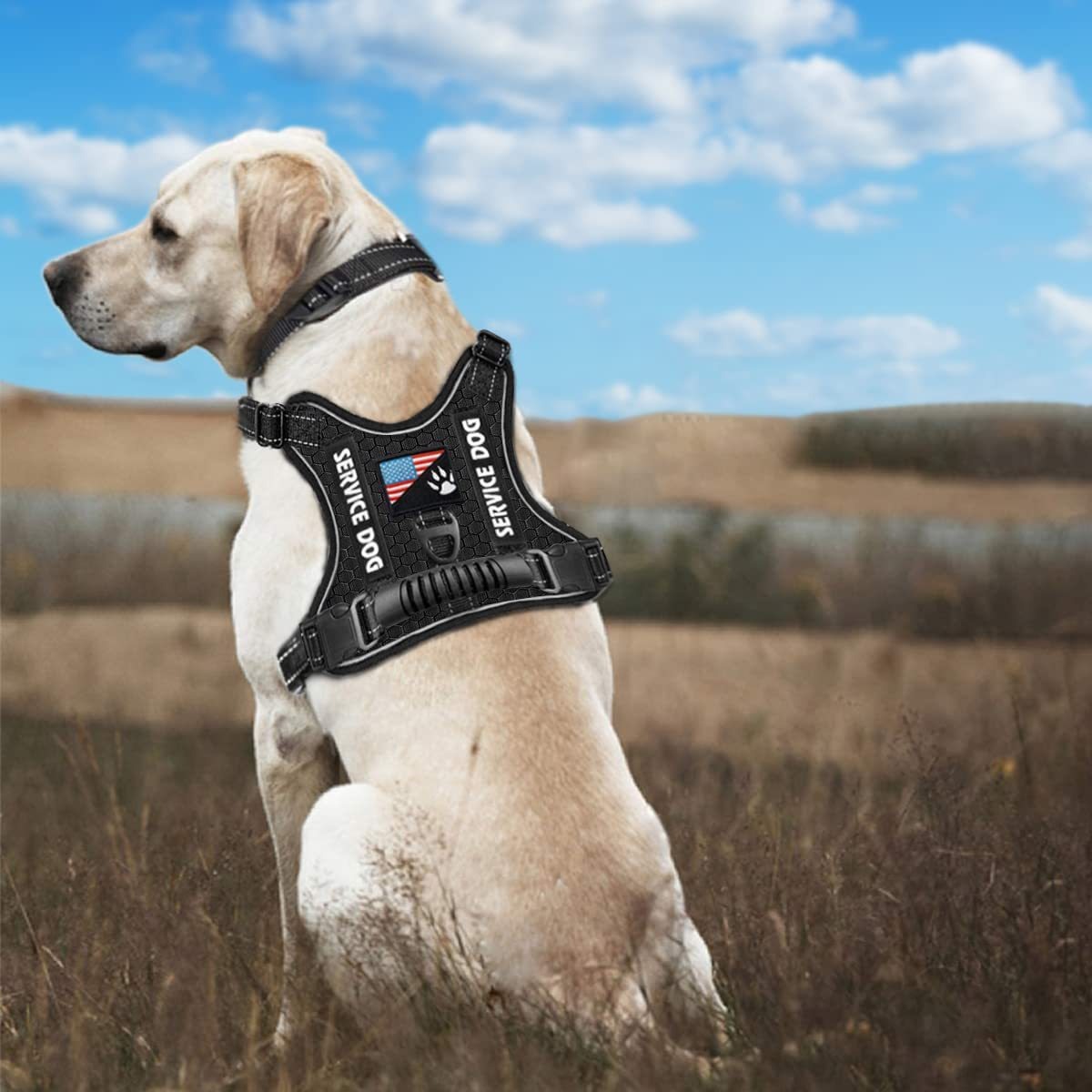 New Fashion Explosion-Proof Shock Absorption Comfortable Night Vision Reflective Pet Chest Strap Undershirt Traction Chest Strap Leash — image 3