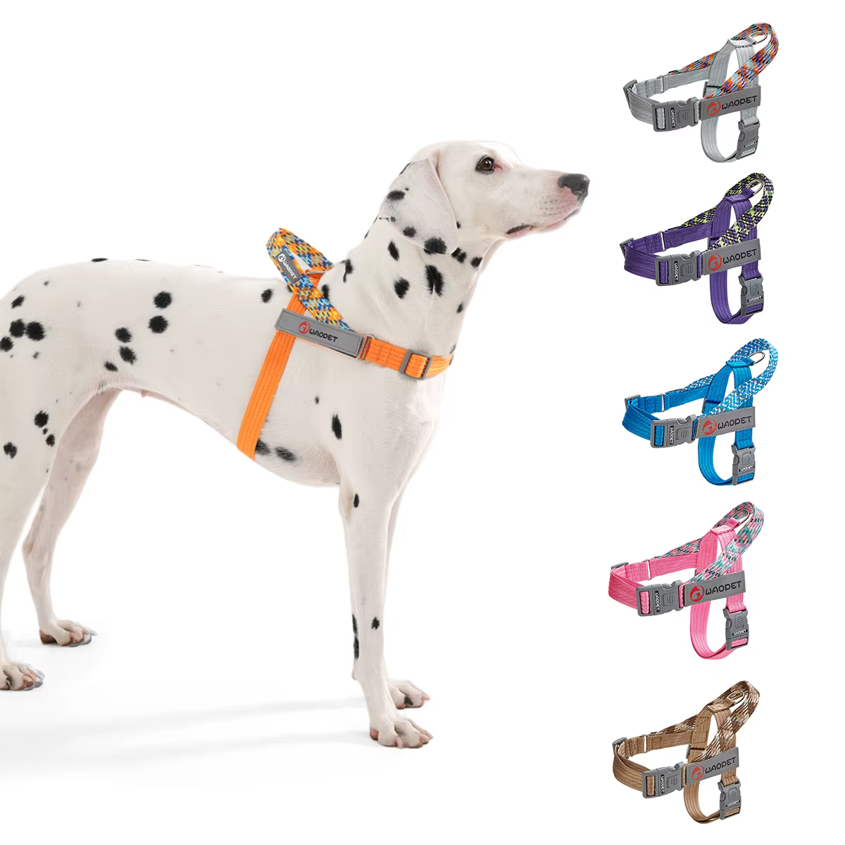 Walking Dog Harnesses For Heavy Medium Large Dogs Creative Design Flat Rope Durable Nylon Dog Rope No Pull Harness Pet Supplies — image 1