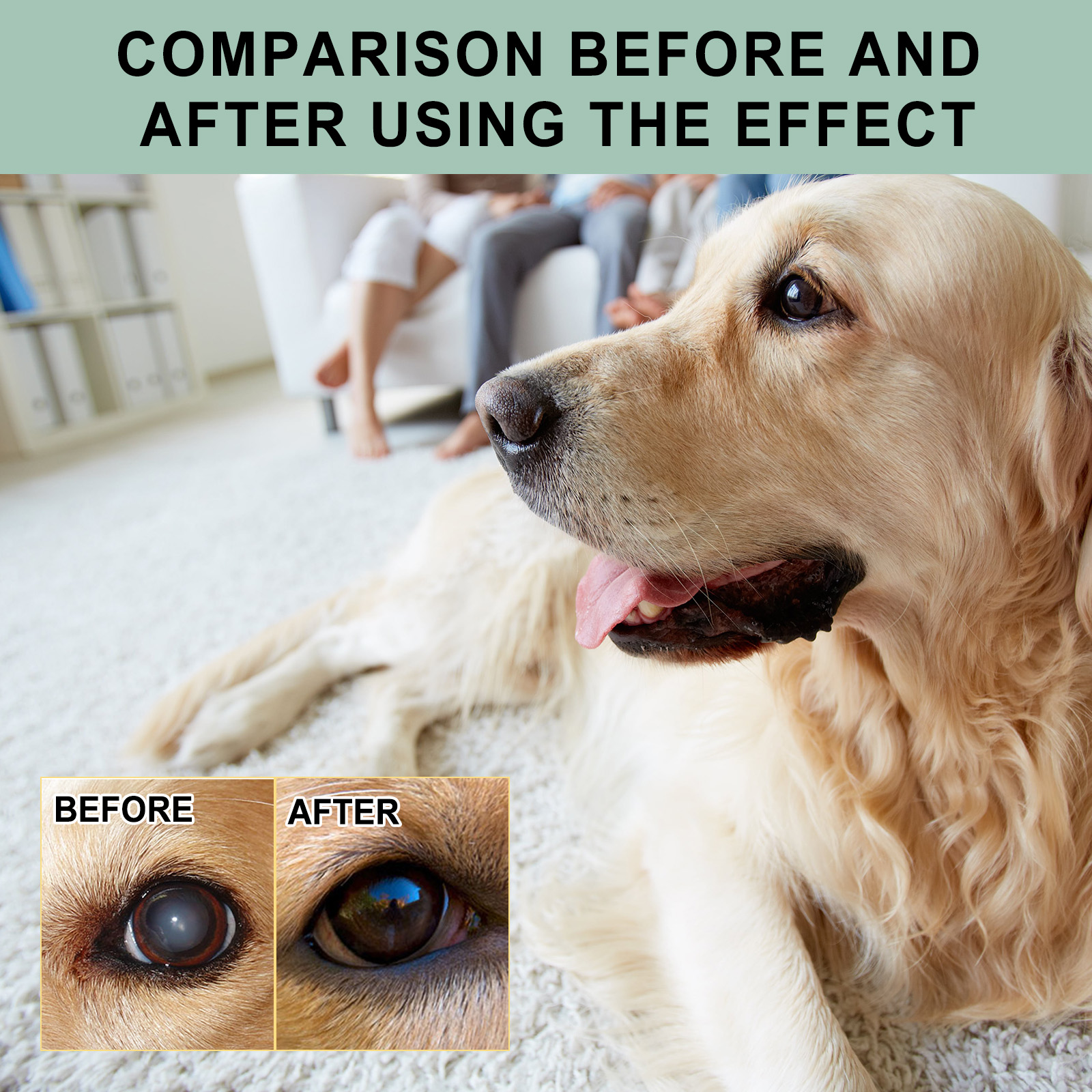 Pet Eye Drops For Dogs & Cats, Gentle Eye Cleaner With Honeysuckle Oil & Blueberry Extract, Soothes Irritation, Tear Stain Remover For Pet Daily Eye Care — image 7