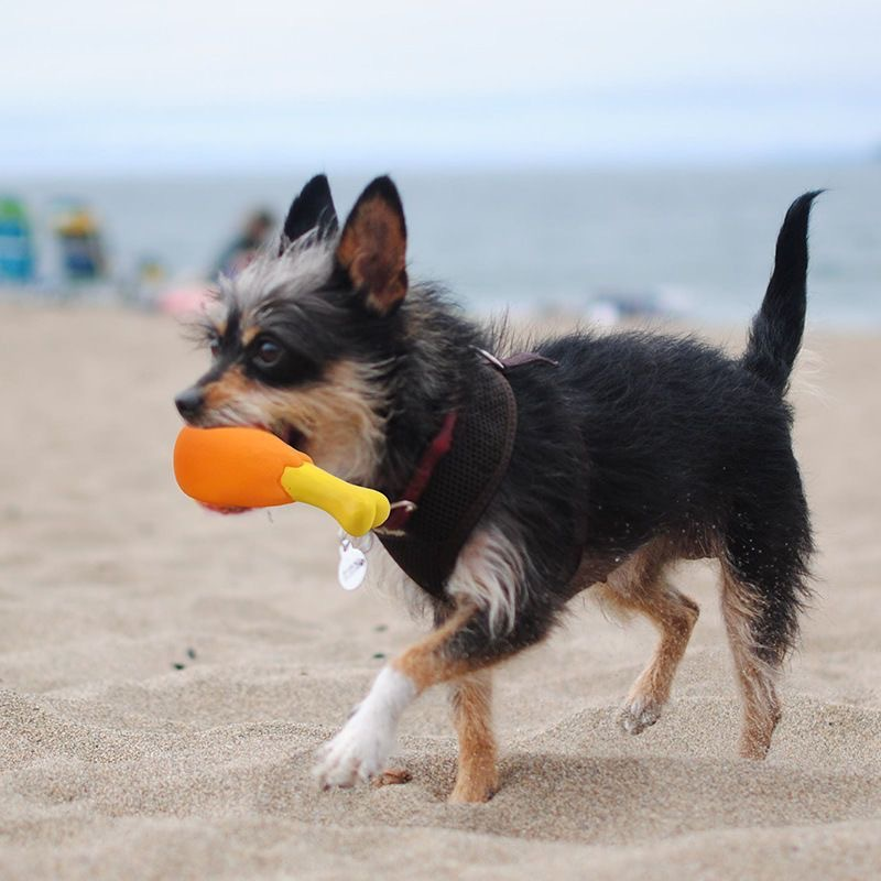 Nuevo juguete de sonido de látex para perros pequeños, masticar y triturar dientes, limpiar dientes, juguete interactivo de rompecabezas para perros — imagen 4