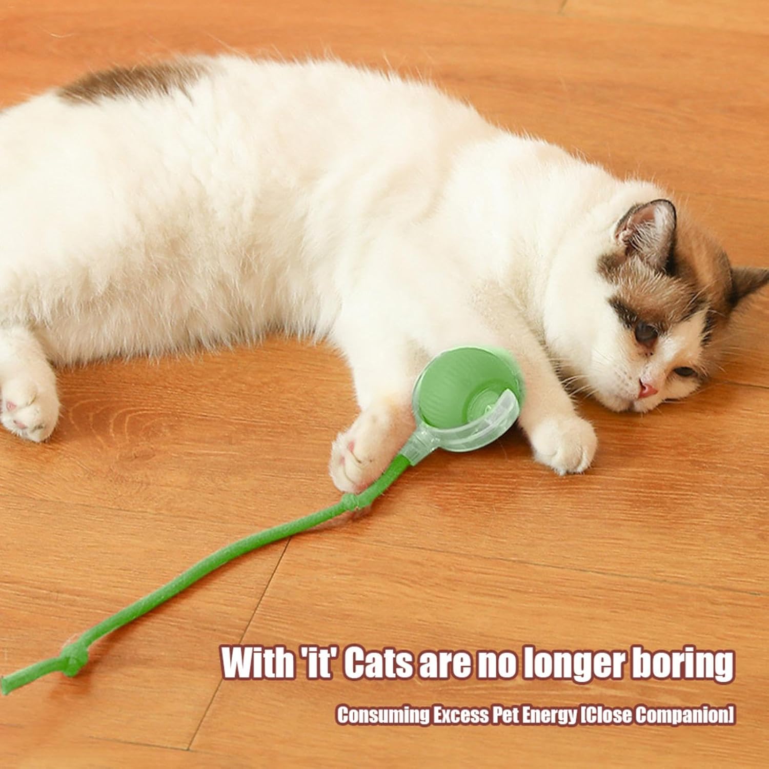 Green Electric Dog Ball Toy - Indoor Large And Small Cat Dog Interactive Intelligent Rolling Pet Ball (Green) — image 5