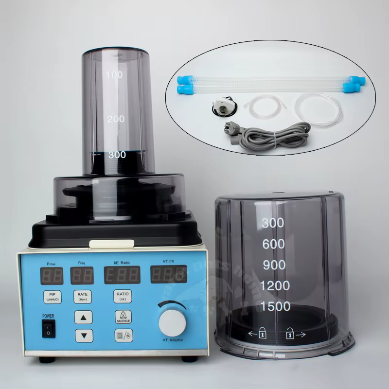 Veterinary Respiratory Anesthesia Ventilator Machine for Animals Dog Cat Vet Hospital Equipment — image 3