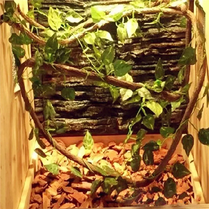 Large Flexible Vines Rattan Habitat Decoration Bendable Jungle Branches Climb Pet Supplies Reptiles Terrarium Decor 1.5/2.5/3m — image 2
