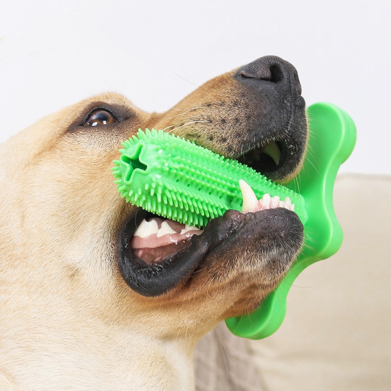Seguridad y Salud de Kong para Pequeños Perros - Juguetes de Goma para Yorkshire Terrier Limpieza Dental Cepillo Dental para Perro — imagen 2