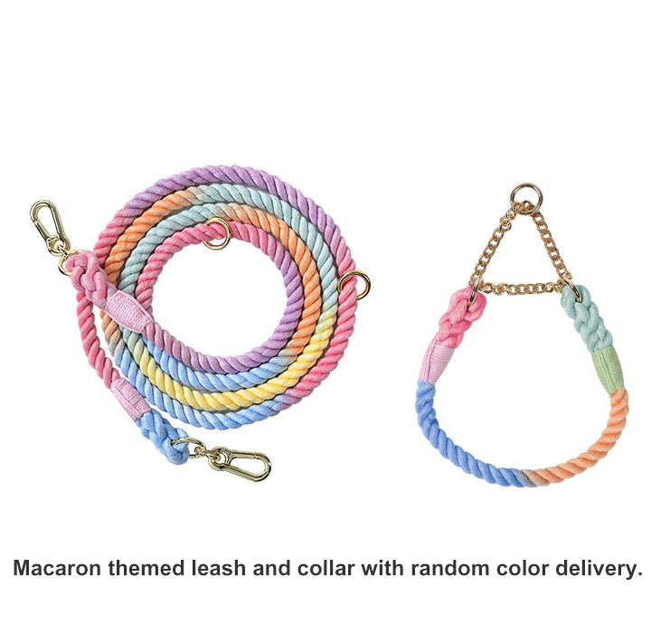 Braided Colorful Pet Dog Leash with P-Chain Collar for Medium and Large Dogs — image 4