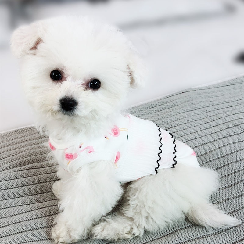 Ropa de Verano para Mascotas con Diseño de Fuente Térmica - Vestidos Cómicos con Manga para Perros y Gatos Pequeños S-XXL — imagen 1