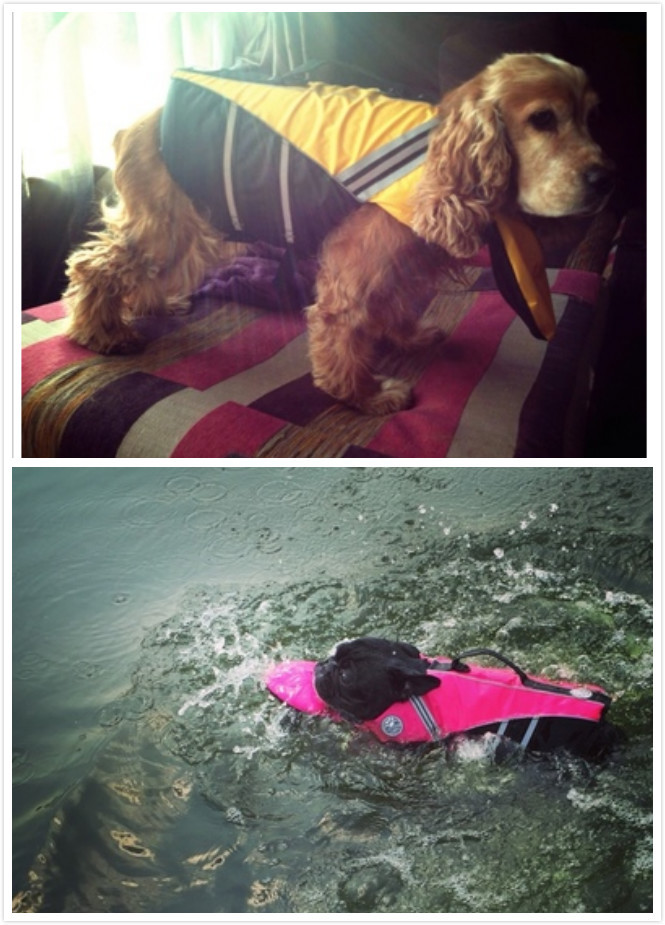 Professional Pet Life Vest Swimming Clothes Dog Outdoor Supplies Large Dog Buoyancy Swimsuit — image 9