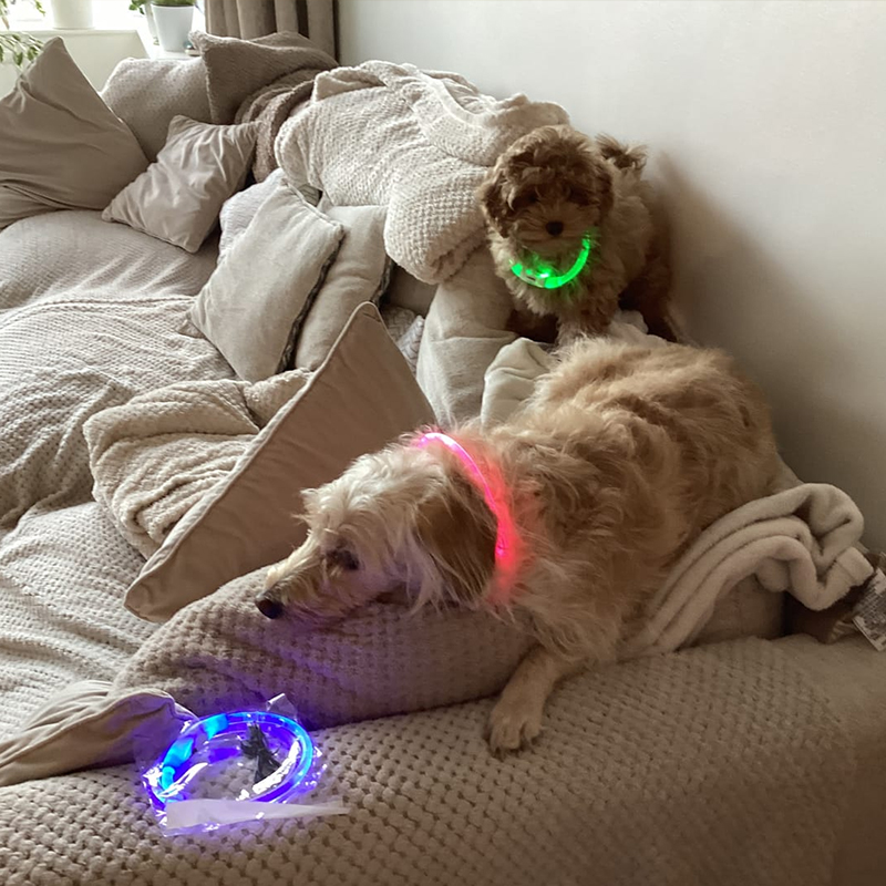 3-Mode LED Dog Collar - USB Rechargeable, Detachable & Glowing Pet Safety Necklace for Night — image 7