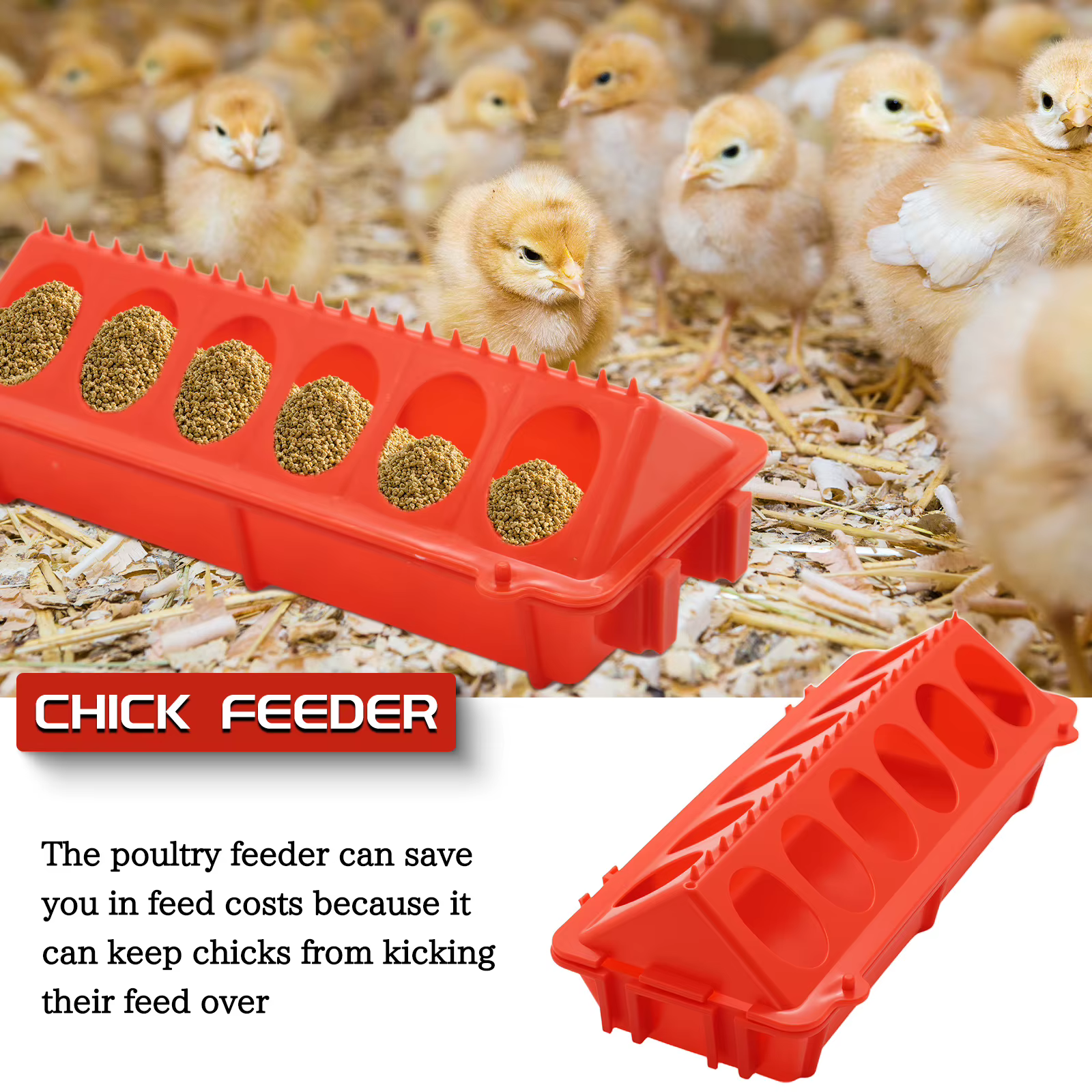Alimentador Automático de Pollo y Agua para Pollos, Codornices y Corderos - Dispensador de Alimento Ligero — imagen 3