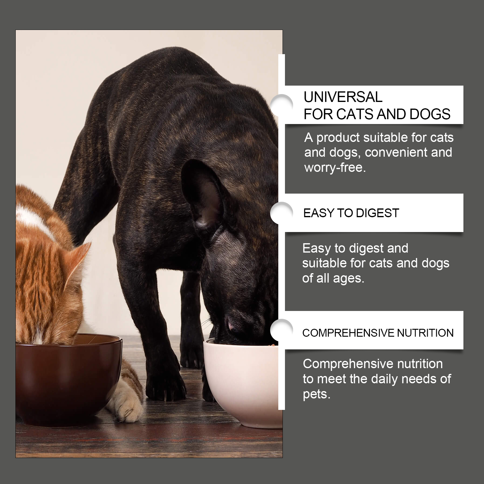 Tabletas de Probióticos para Mascotas Comestibles - Soporte para Salud Digestiva e Inmunológica, con Vitamina B2 y Selenio de Levadura, 80 tabletas — imagen 7